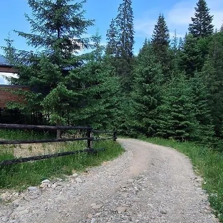 Holiday home пташка
