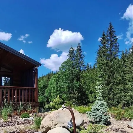 пташка Holiday home *